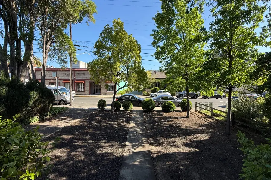 151 E Napa Street, Sonoma, CA 95476 - #2