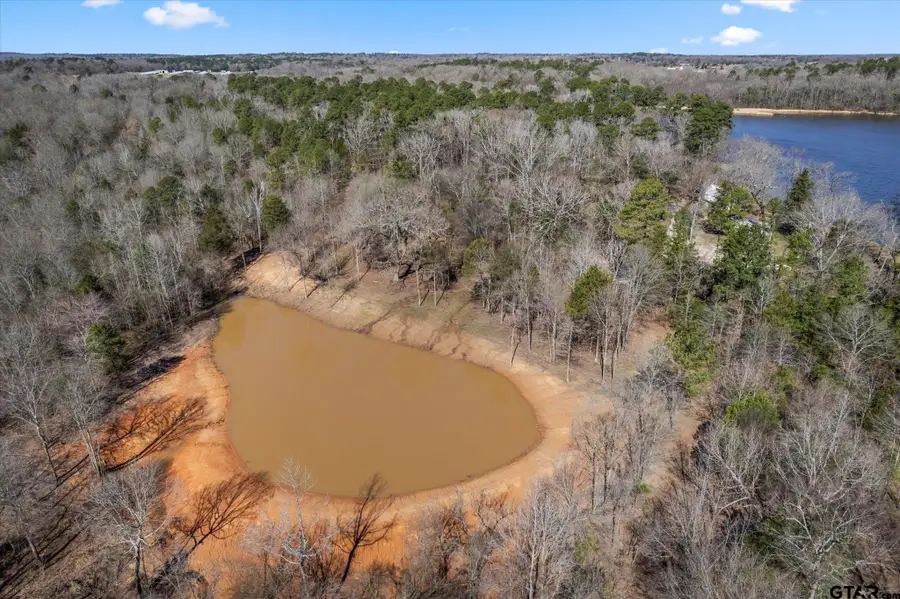 TBD Woodchuck Rd, Pittsburg, TX 75686-0000 - #2