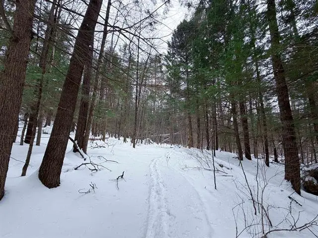 0 Town House Road #28, Cornish, NH 03745 - #3