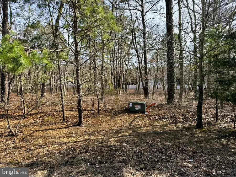 18 Pinewood Dr, Little Egg Harbor, NJ 08087 - #2