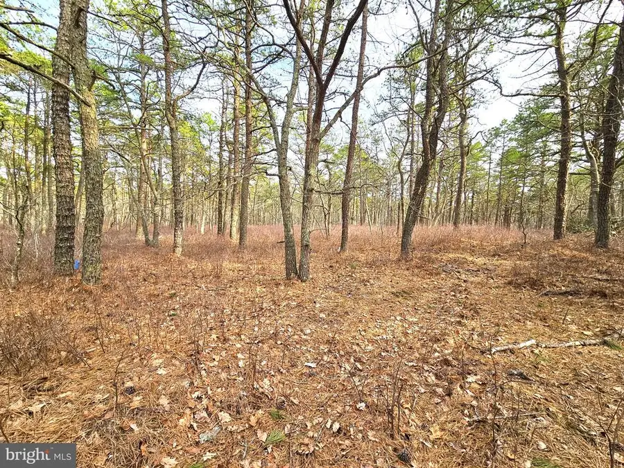 18 Pinewood Dr, Little Egg Harbor, NJ 08087 - #3