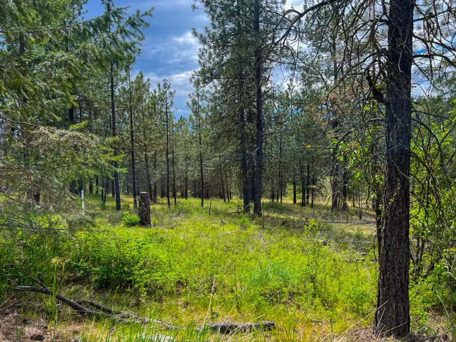 20XX Clemons Rd, Rice, WA 99167 - Image #3