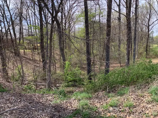 900 Rolling Forest Drive, Jonesboro, AR 72404 - #2