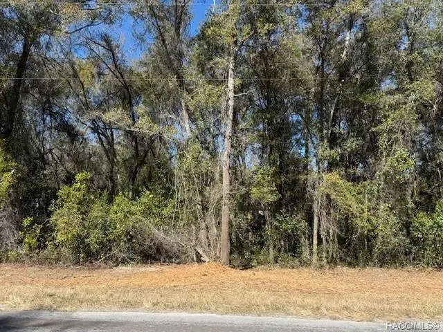 3667 E Orchid Street, Hernando, FL 34442 - #1