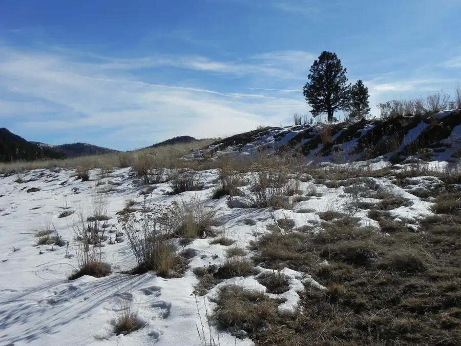 277 Gold King Drive, Cripple Creek, CO 80813 - #3