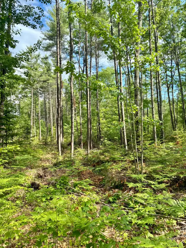 Lot 16 (2) Whittier Road, Farmington, ME 04938