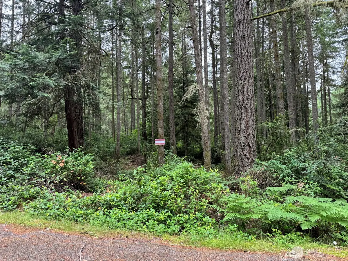 11308 114th Street Ct #115, Anderson Island, WA 98303 - #1