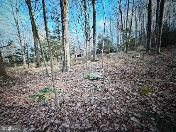 05 Outlet Rd, HARVEYS LAKE, PA 18618