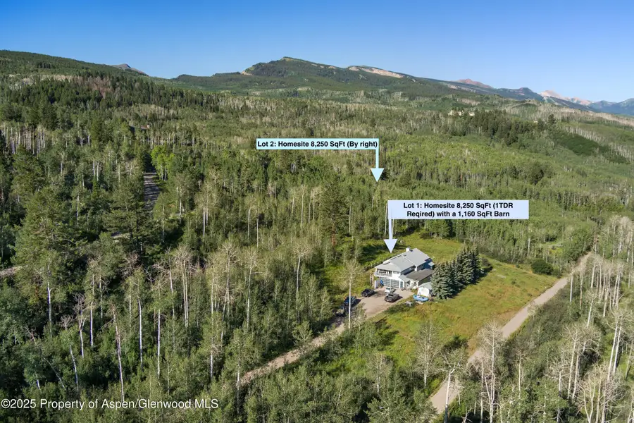 1833 West Buttermilk Road, Aspen, CO 81611 - #2