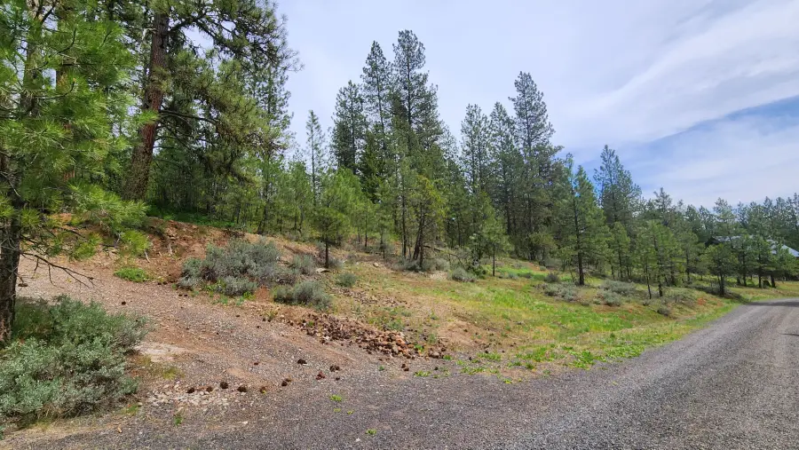 TBD Kimberland Drive, New Meadows, ID 83654 - Image #2