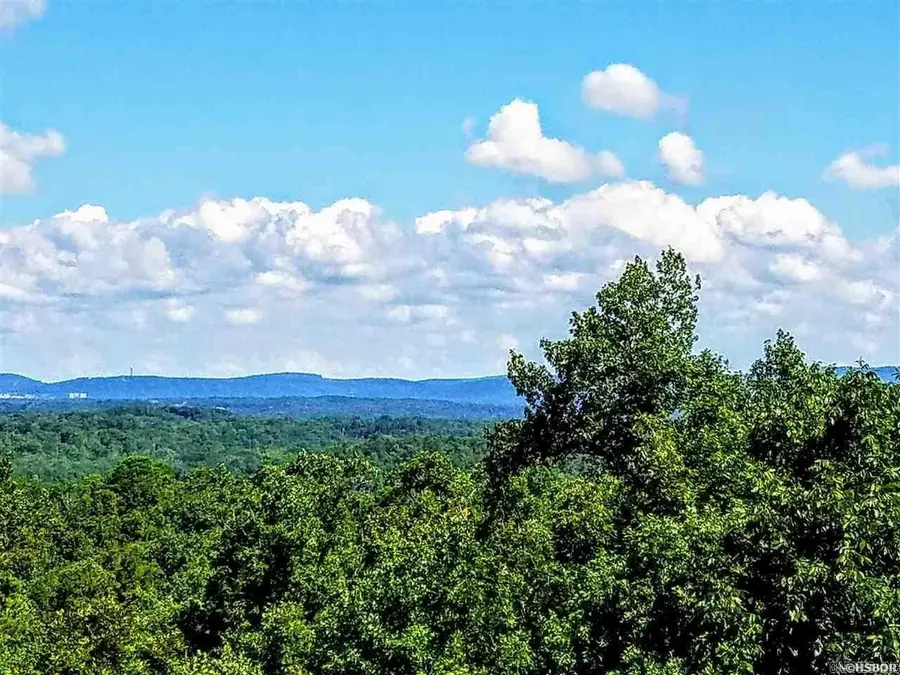 lot 3678A Ohio Drive, Hot Springs, AR 71913 - #2