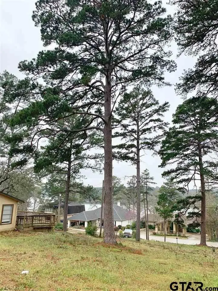 425 Hideaway Central, Hideaway, TX 75771 - Image #2