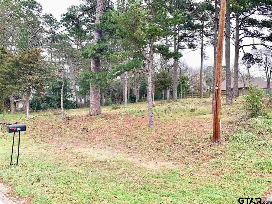 425 Hideaway Central, Hideaway, TX 75771 - Image #3