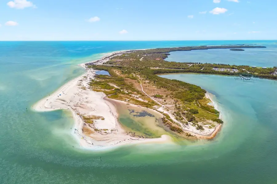 1956 Cedar Drive, Dunedin, FL 34698 - #3