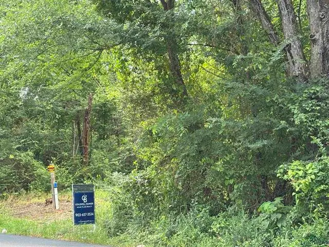 1905 Martin Luther King Jr Dr, Henderson, TX 75652 - Image #2