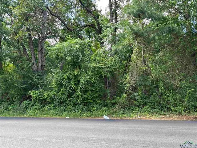 1905 Martin Luther King Jr Dr, Henderson, TX 75652 - Image #3