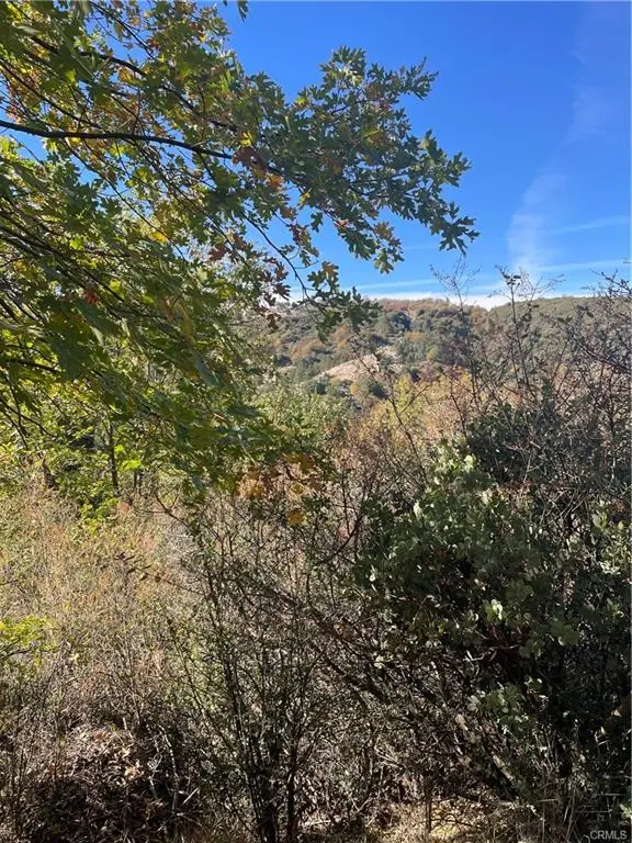 0 Acacia Road, Cedar Glen, CA 92321 - Image #2