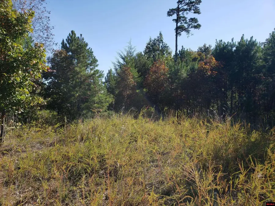 1008 MC 2084, Peel, AR 72668 - Image #3