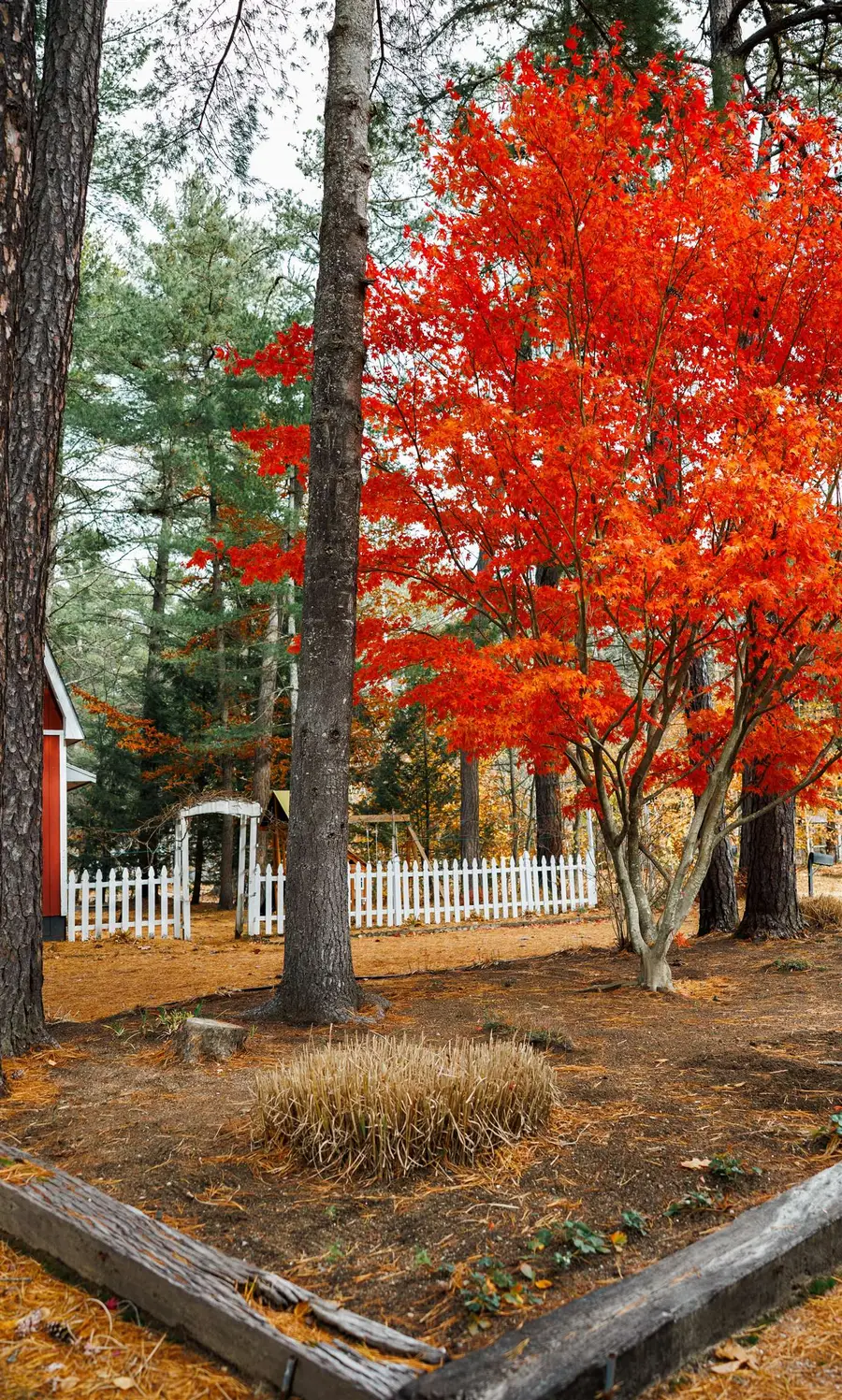 10 Margo Lane, Chocorua, NH 03817 - Image #3