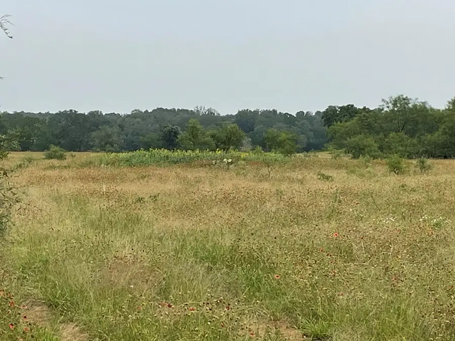 10220 E Us Hwy 290, Fredericksburg, TX 78624 - Image #2