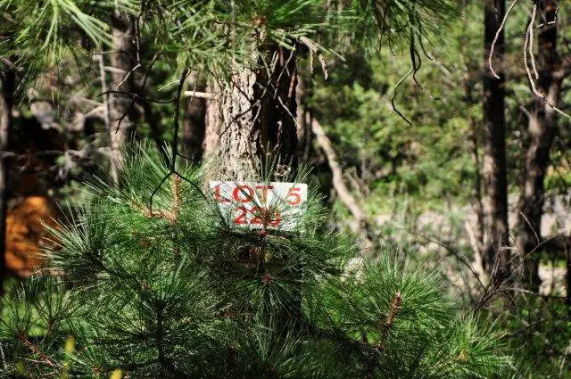 220 Cummings Drive, Ruidoso, NM 88345 - #1