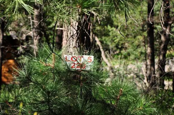 220 Cummings Drive, Ruidoso, NM 88345