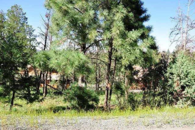 220 Cummings Drive, Ruidoso, NM 88345 - #2