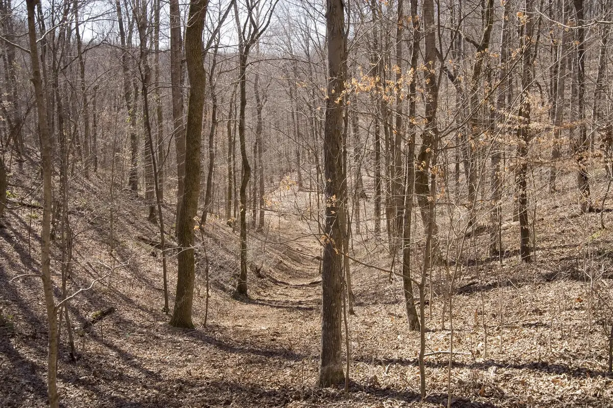 0 Straight Creek Rd, Wartrace, TN 37183 - Image #1