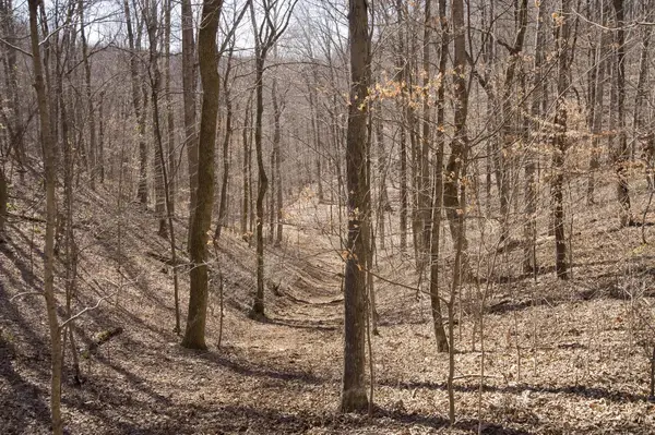 0 Straight Creek Rd, Wartrace, TN 37183