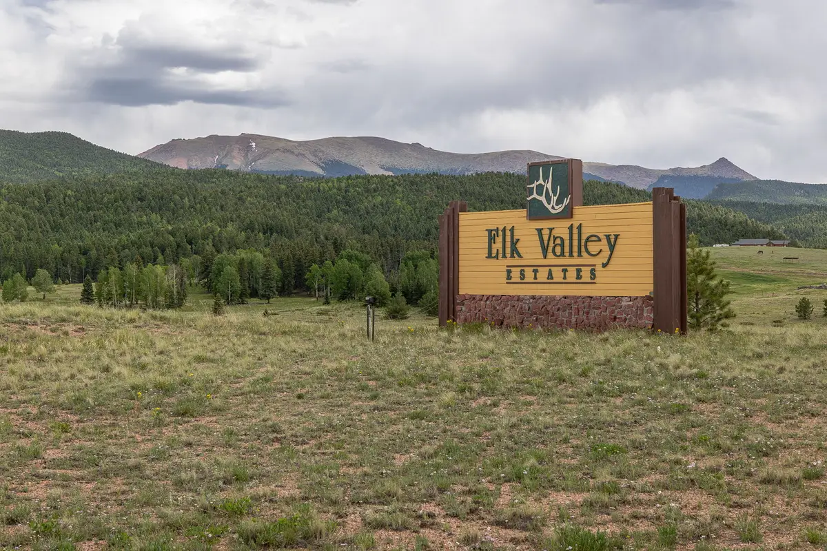 6100 Elk Valley Road, Divide, CO 80814 - #1