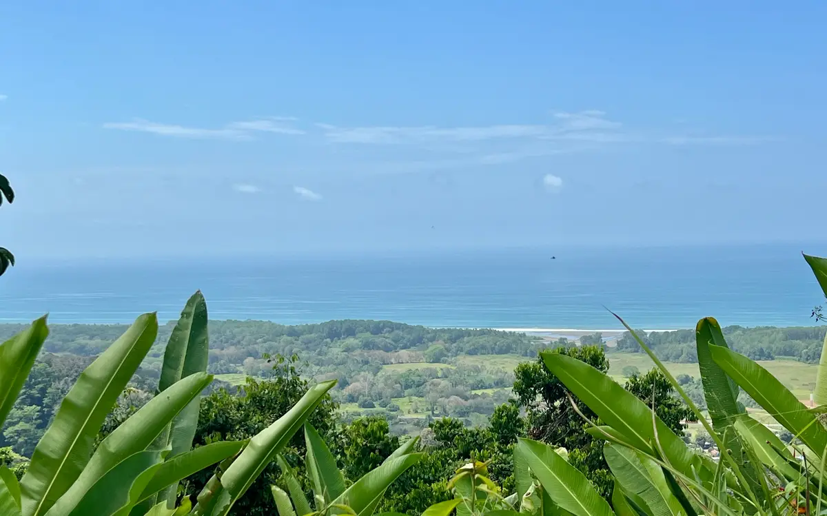 Sr-33, Spring City, FL 34714 - #1