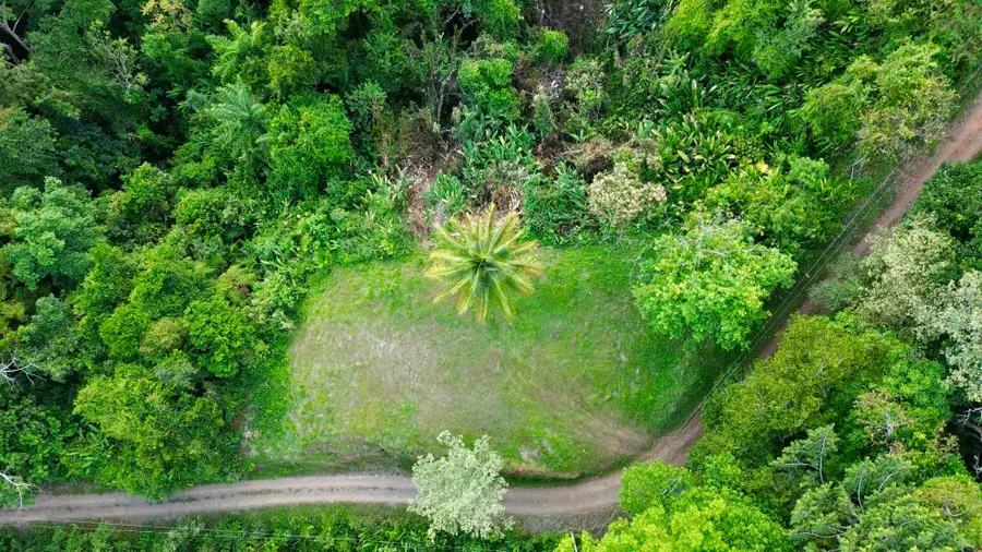 Sr-33, Spring City, FL 34714 - #2