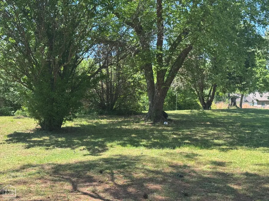 71 Manley Lane, Brookland, AR 72417 - #3