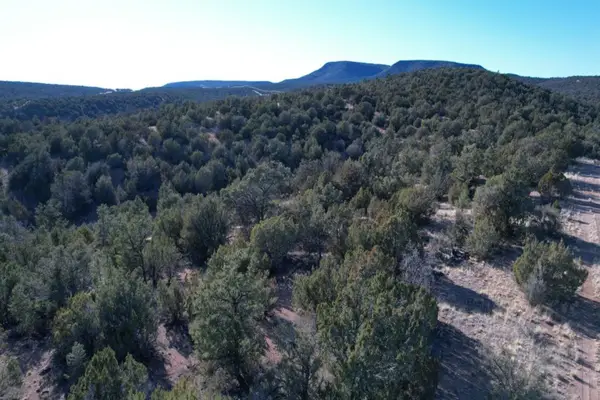 51804 N Cordero Road, Seligman, AZ 86337