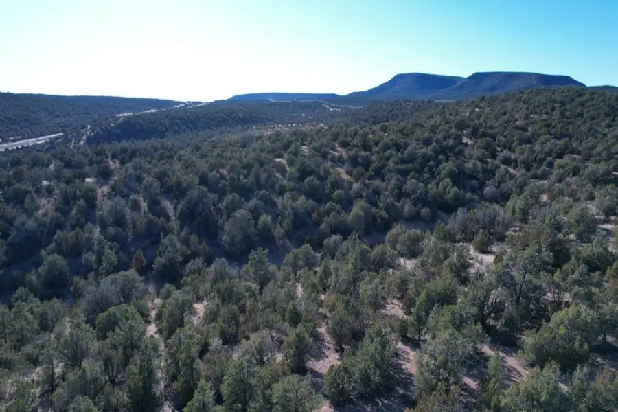 51804 N Cordero Road, Seligman, AZ 86337 - #3