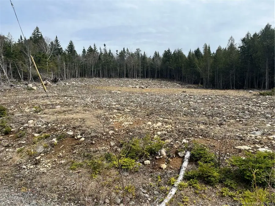 Us-90, Marianna, FL 32446 - Image #3