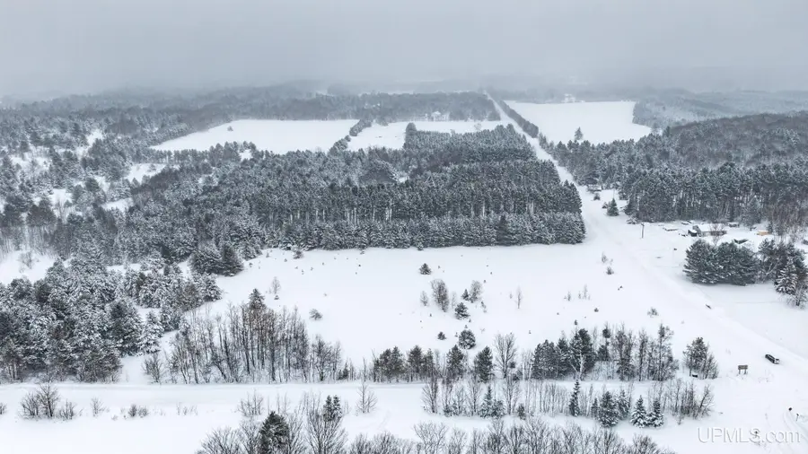 Parcel D Puuri, Atlantic Mine, MI 49905 - #3