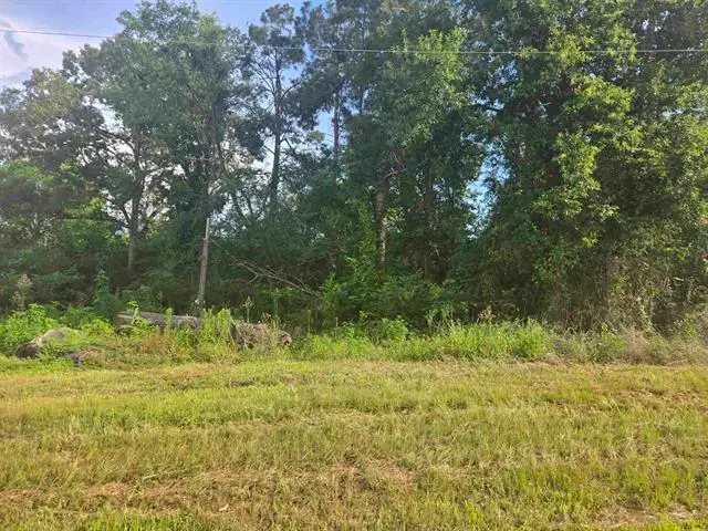 TBD US HWY 84, Mount Enterprise, TX 75681 - #3