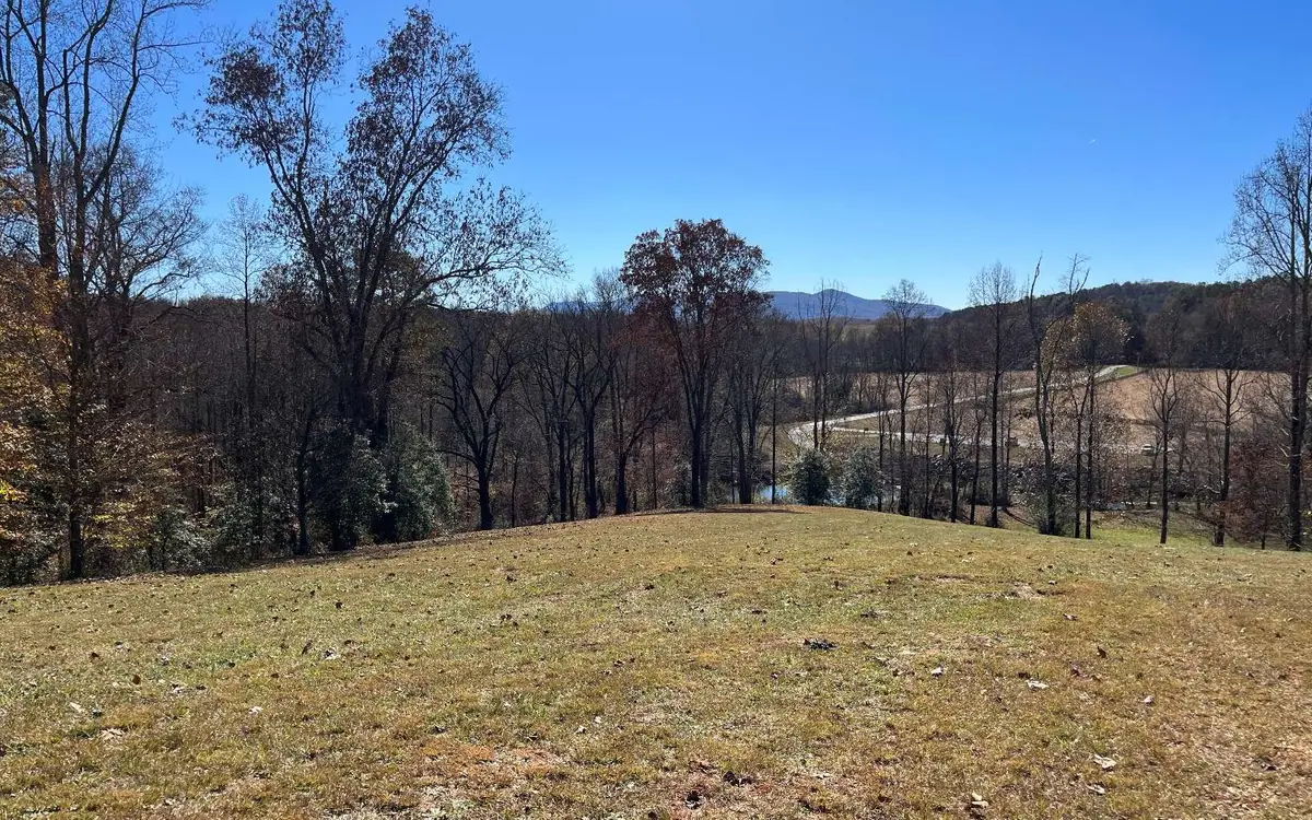 LOT 11 Hinton Overlook, Hayesville, NC 28904 - Image #1