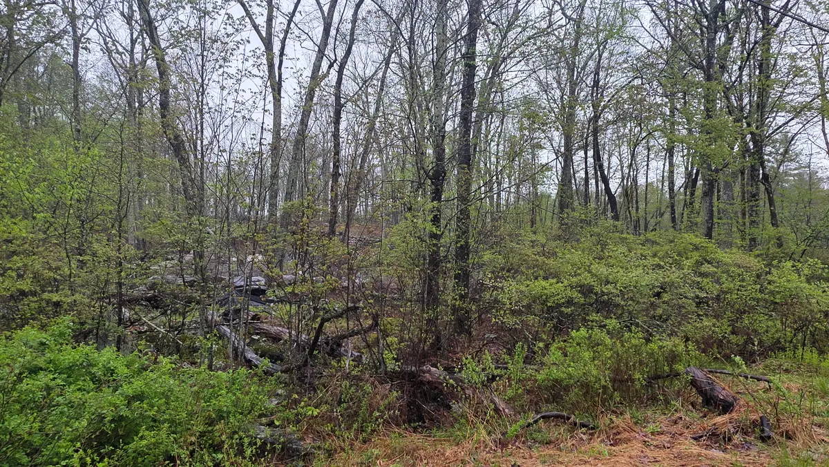 Lot 1 White Birch Drive, Hawley, PA 18428 - #1