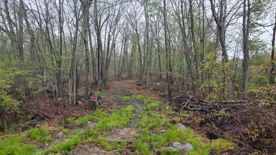 Lot 1 White Birch Drive, Hawley, PA 18428 - #2