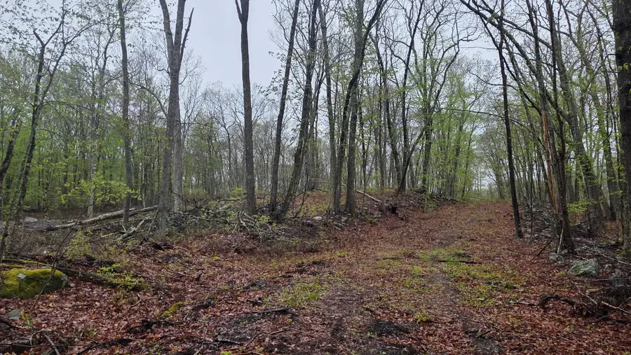 Lot 1 White Birch Drive, Hawley, PA 18428 - #3
