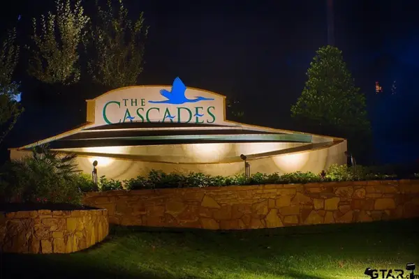 4463 Cascades Shoreline Drive, Tyler, TX 75709