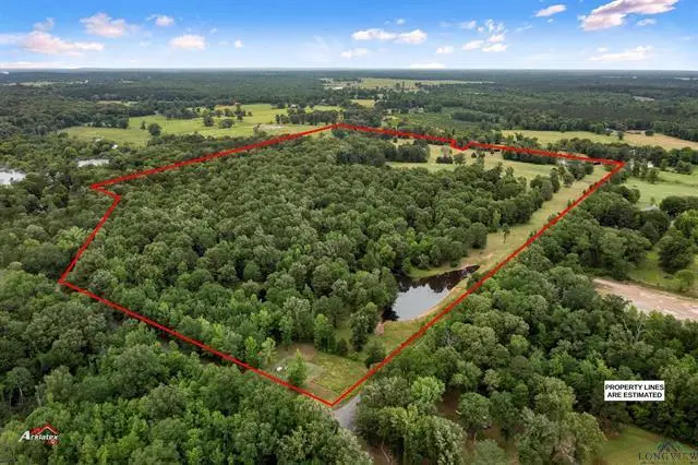 172 CR 183, Carthage, TX 75633 - Image #2