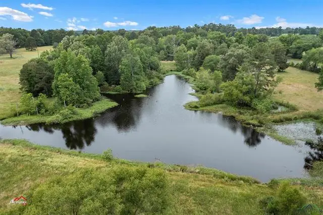 172 CR 183, Carthage, TX 75633 - Image #3