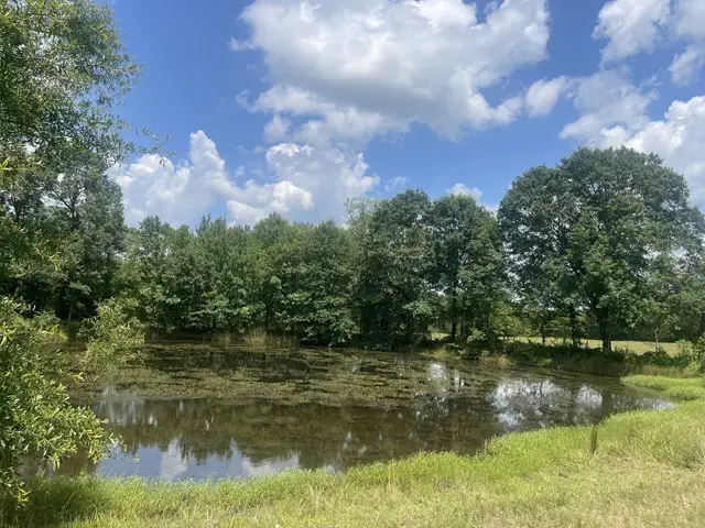 165 Valley Ranch Lane, Mena, AR 71953 - #2