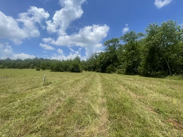 165 Valley Ranch Lane, Mena, AR 71953 - #3