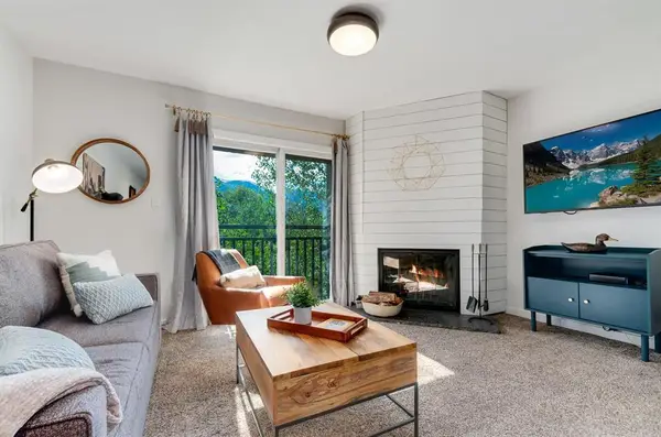 401 S Ridge Street #21, Breckenridge, CO 80424