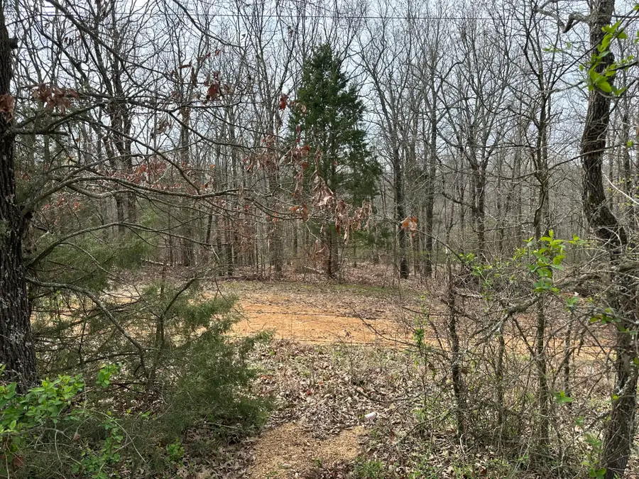 Lot 4 Raby Road, Harrisburg, AR 72432 - Image #2