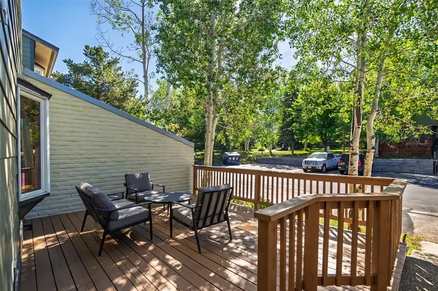 14 Sequoia Court #14, Steamboat Springs, CO 80487 - #3